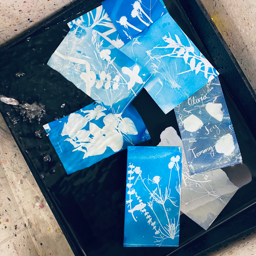 Cyanotype Paper Kit – Lost & Found
