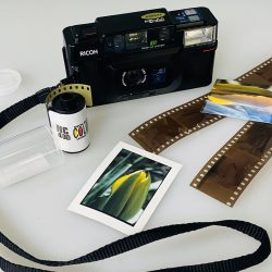 Ricoh AF Analog Photog starter kit